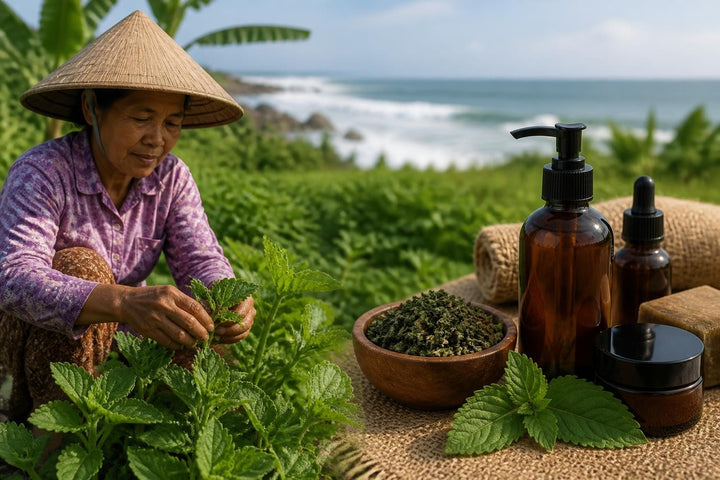 Patchouli: Ancient Essence for Modern Natural Bodycare